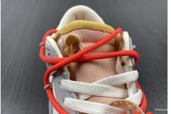 Nike 6 Dunk Low O-W Lot DM1602-110 0329